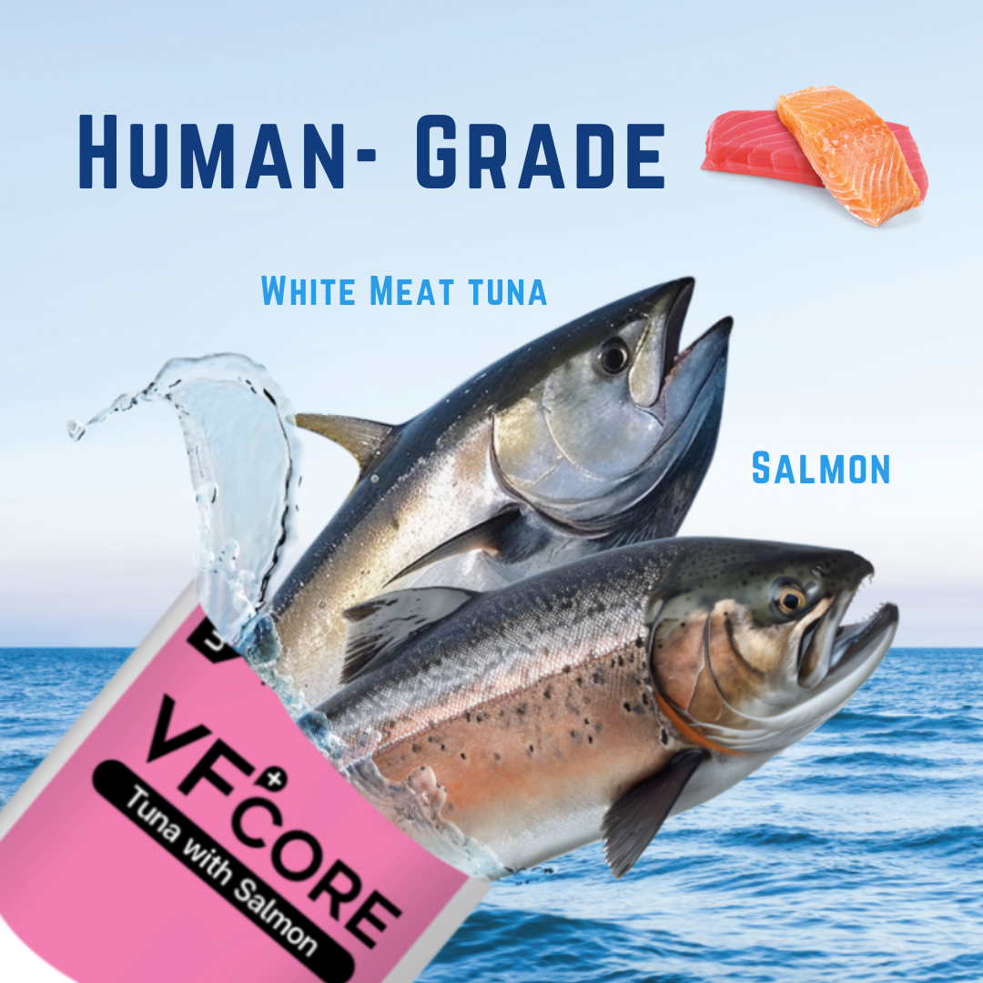 VF⁺Core SK Skin health 30 Sachets