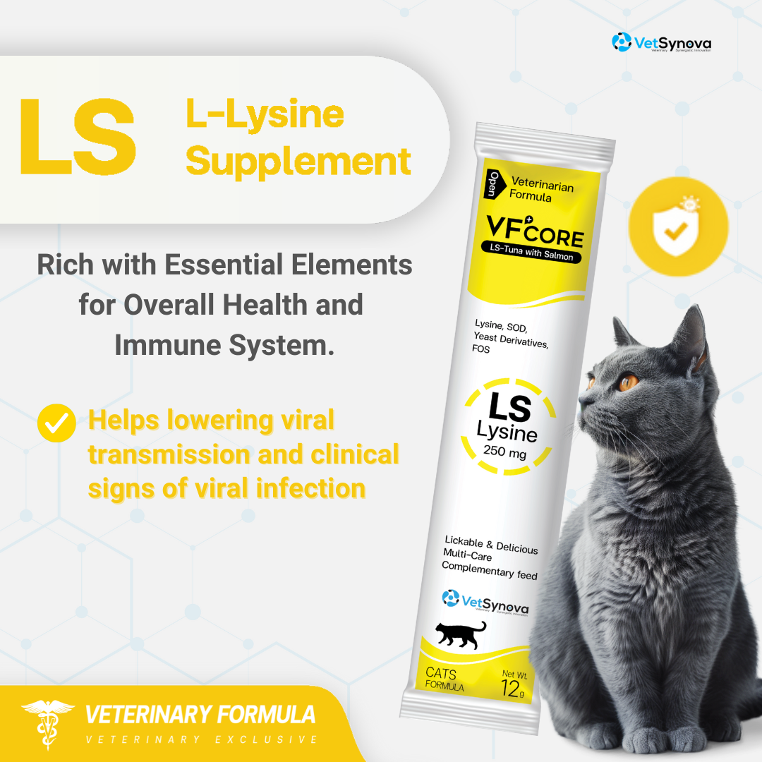 VF⁺Core LS Lysine immune /Cat Flu30 Sachets CAT ONLY