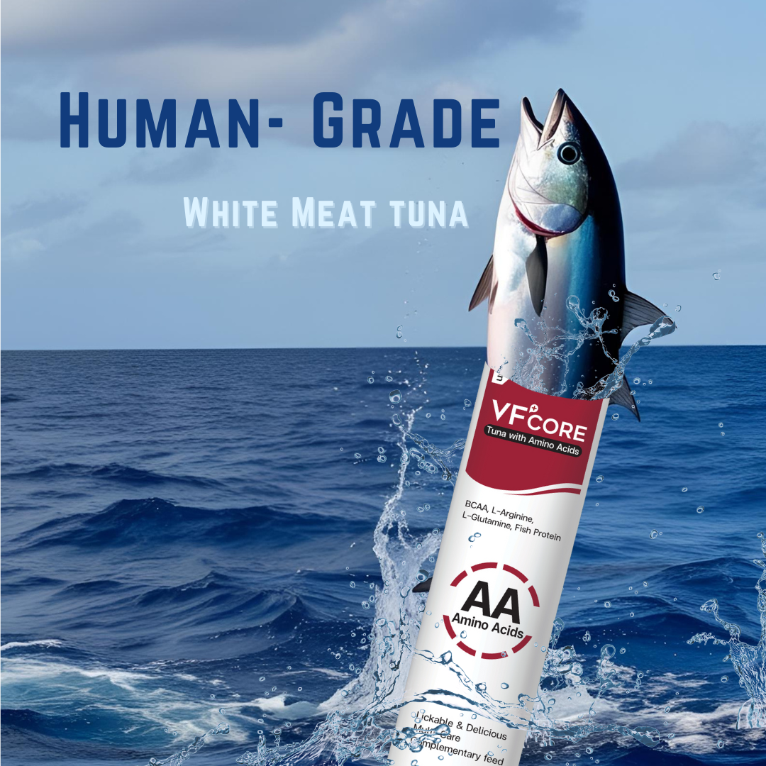 VF⁺Core AA Strengthen muscles 12g
