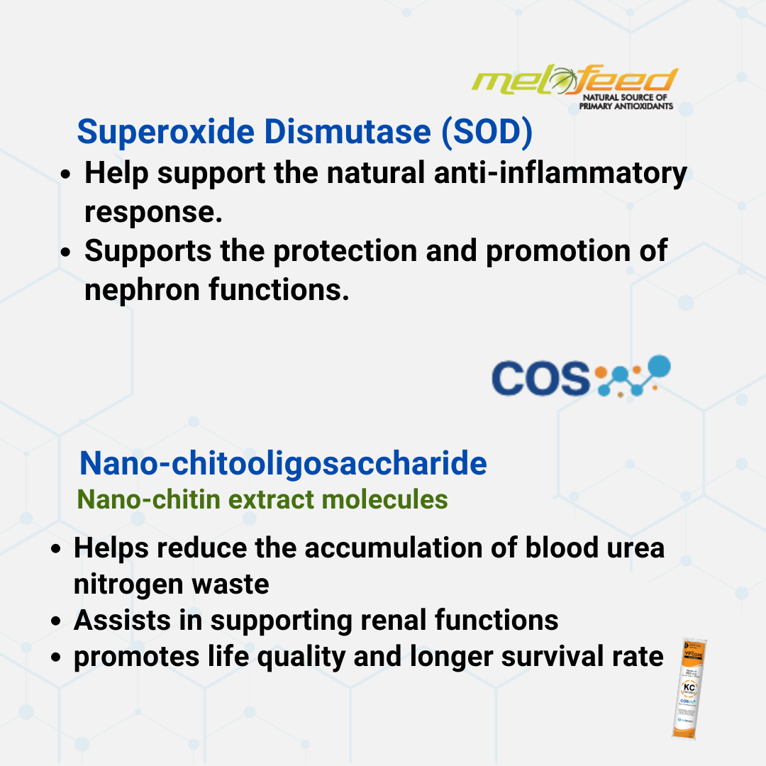 VF⁺Core KC Kidney care