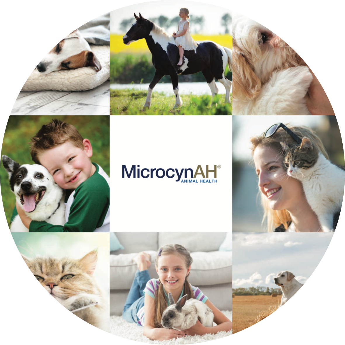 MicrocynAH