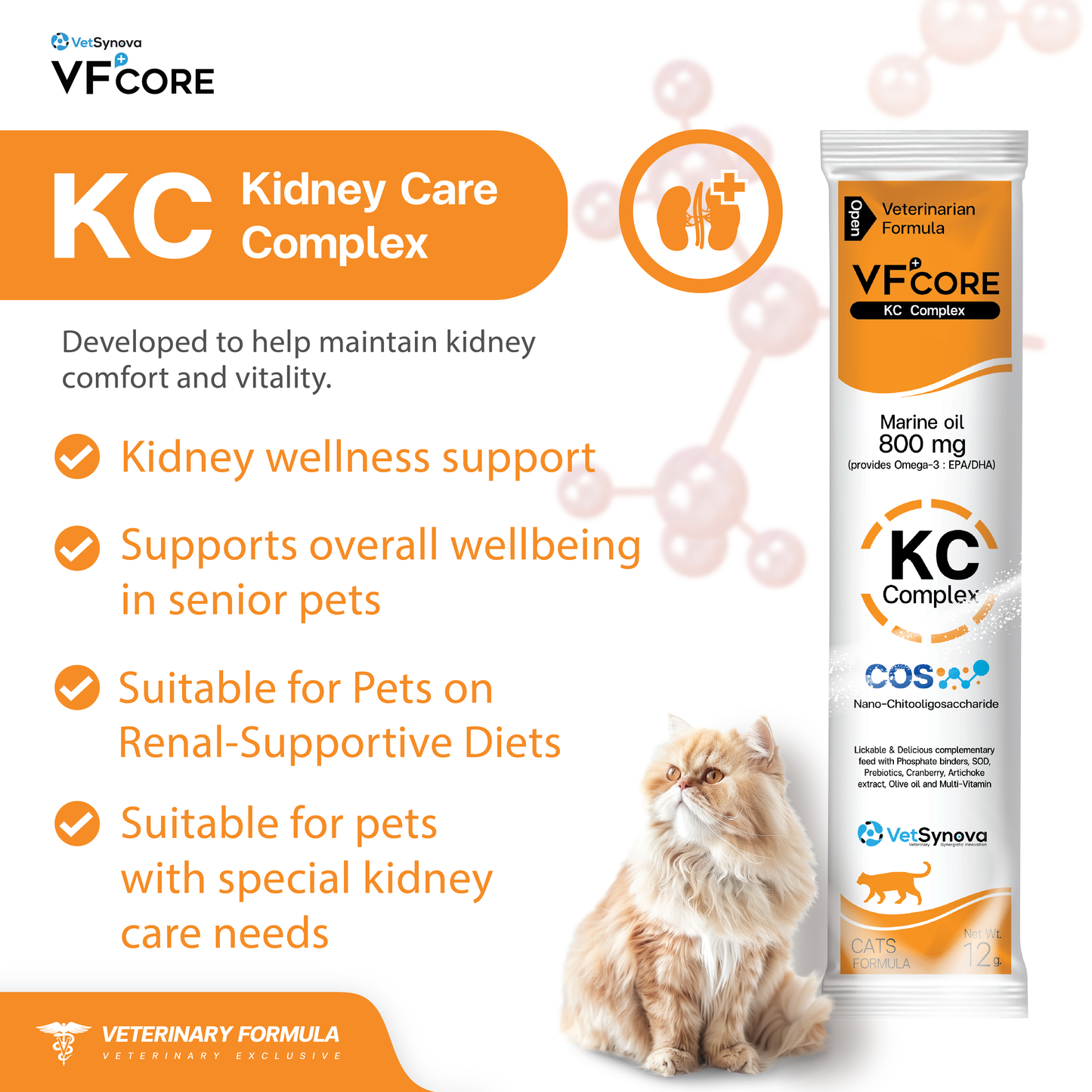 VF⁺Core KC Kidney care