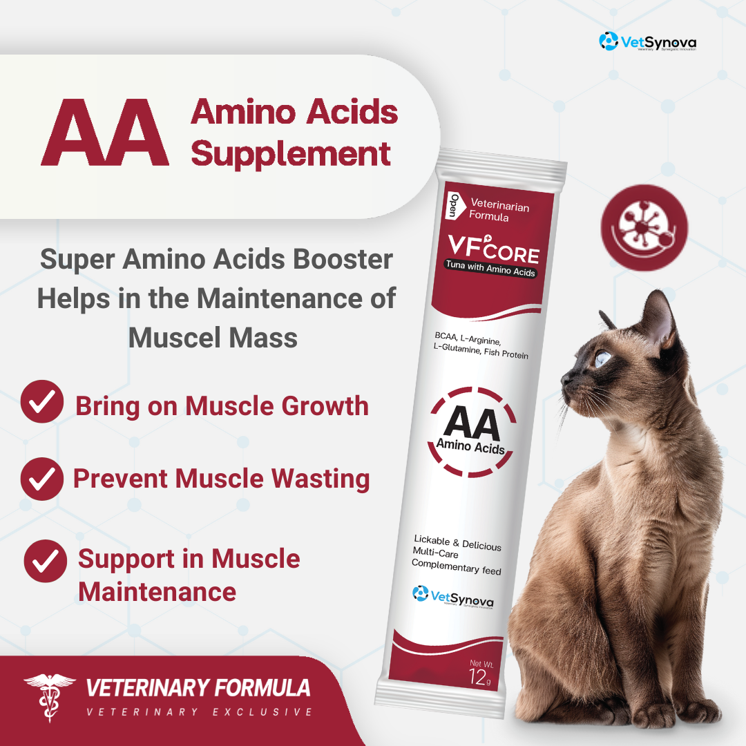 VF⁺Core AA Strengthen muscles 30 Sachets