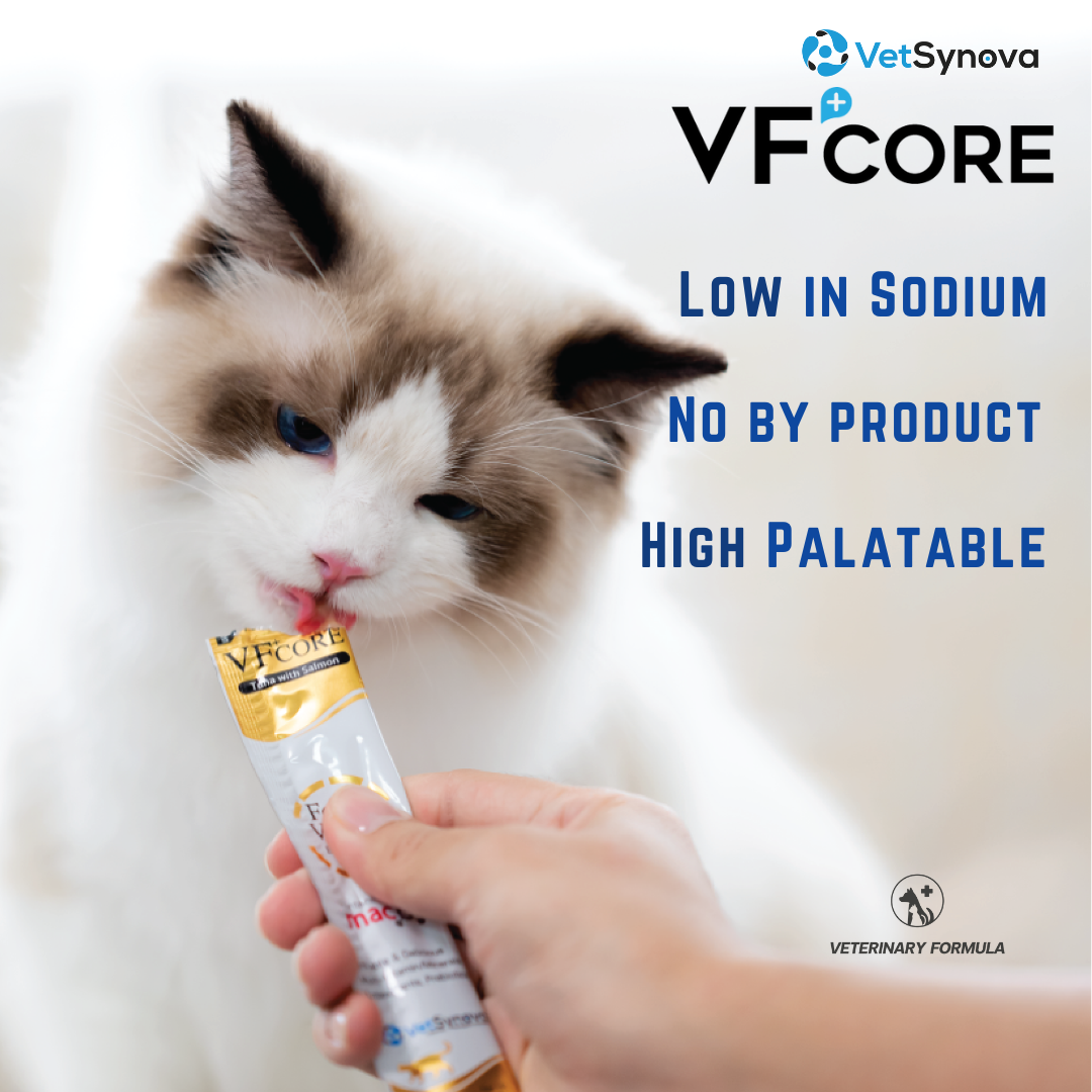VF⁺Core Fiber+ Hairball ,mild constipation 12g