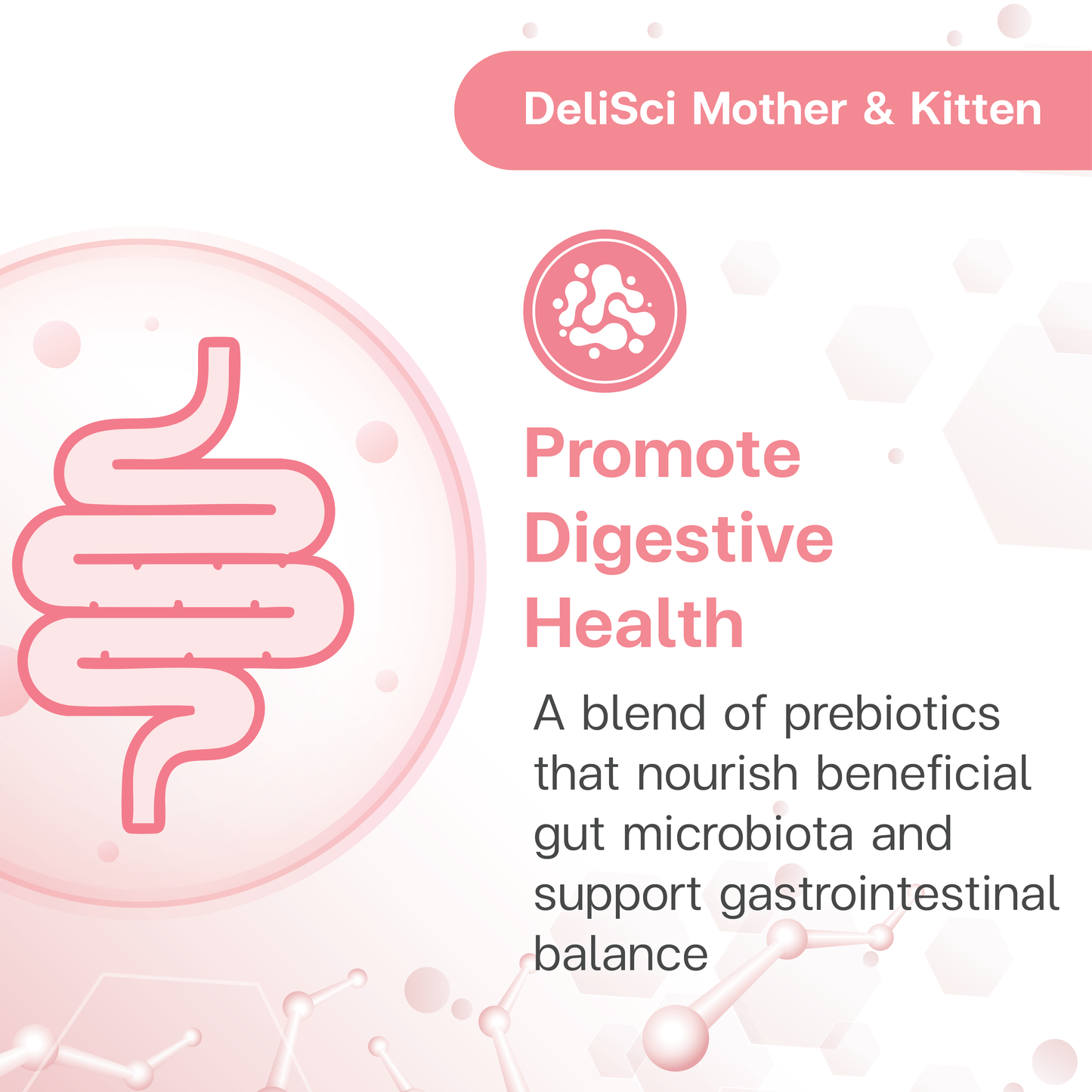 DeliSci Mother&Kitten