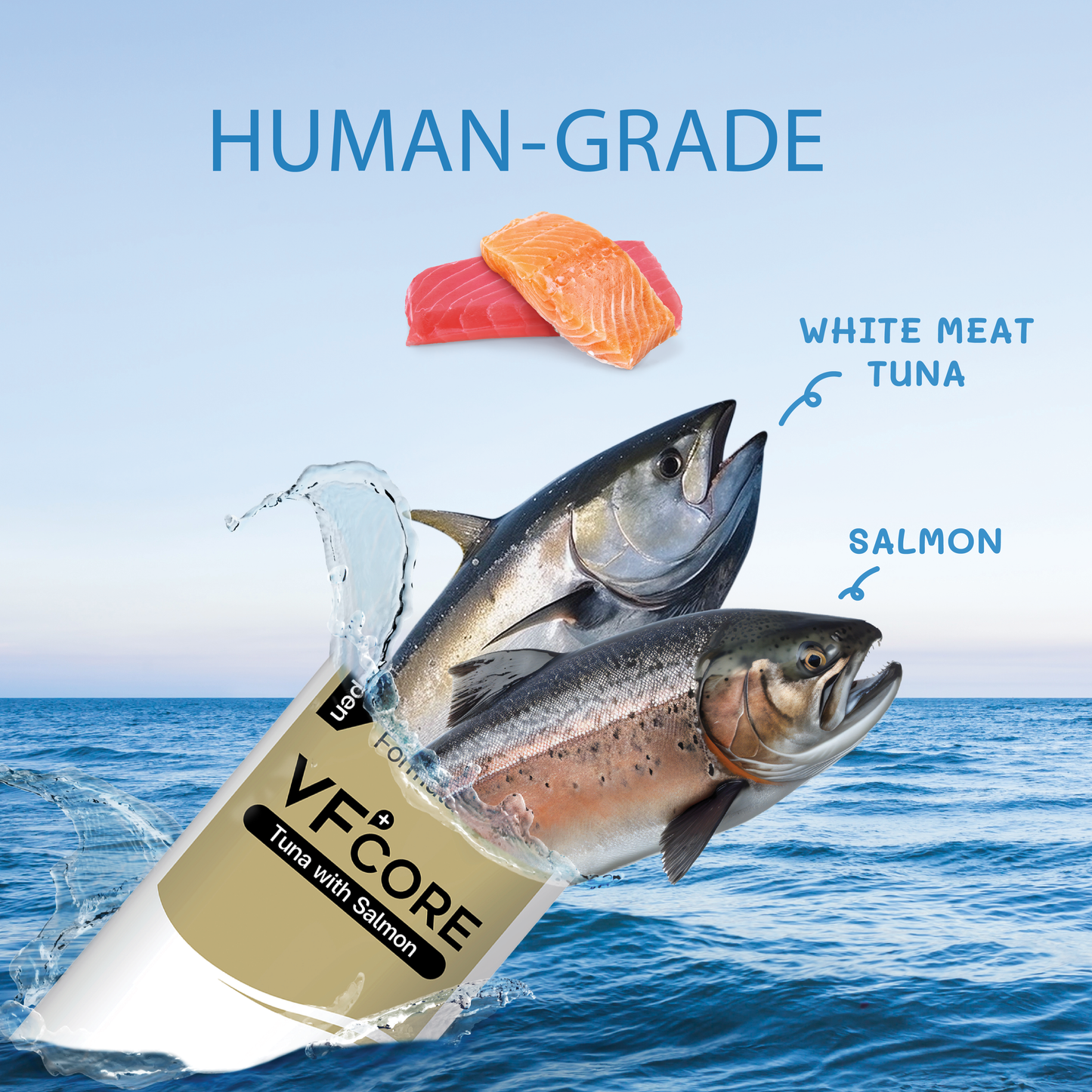 VF⁺Core Fiber+ Hairball ,mild constipation