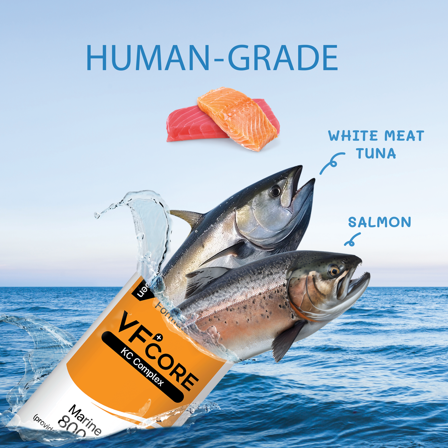 VF⁺Core KC Kidney care