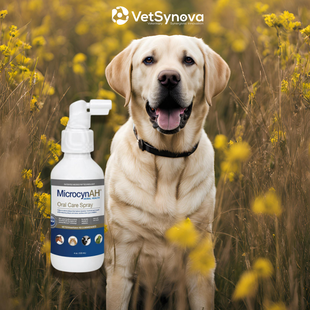 MicrocynAH: Oral Care Spray 120ml (Veterinary Recommended)