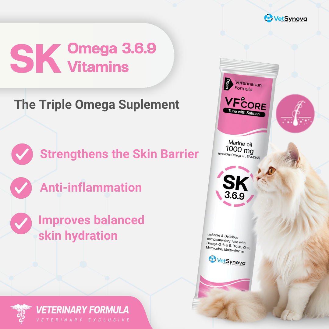 VF⁺Core  SK  Skin health 30 Sachets