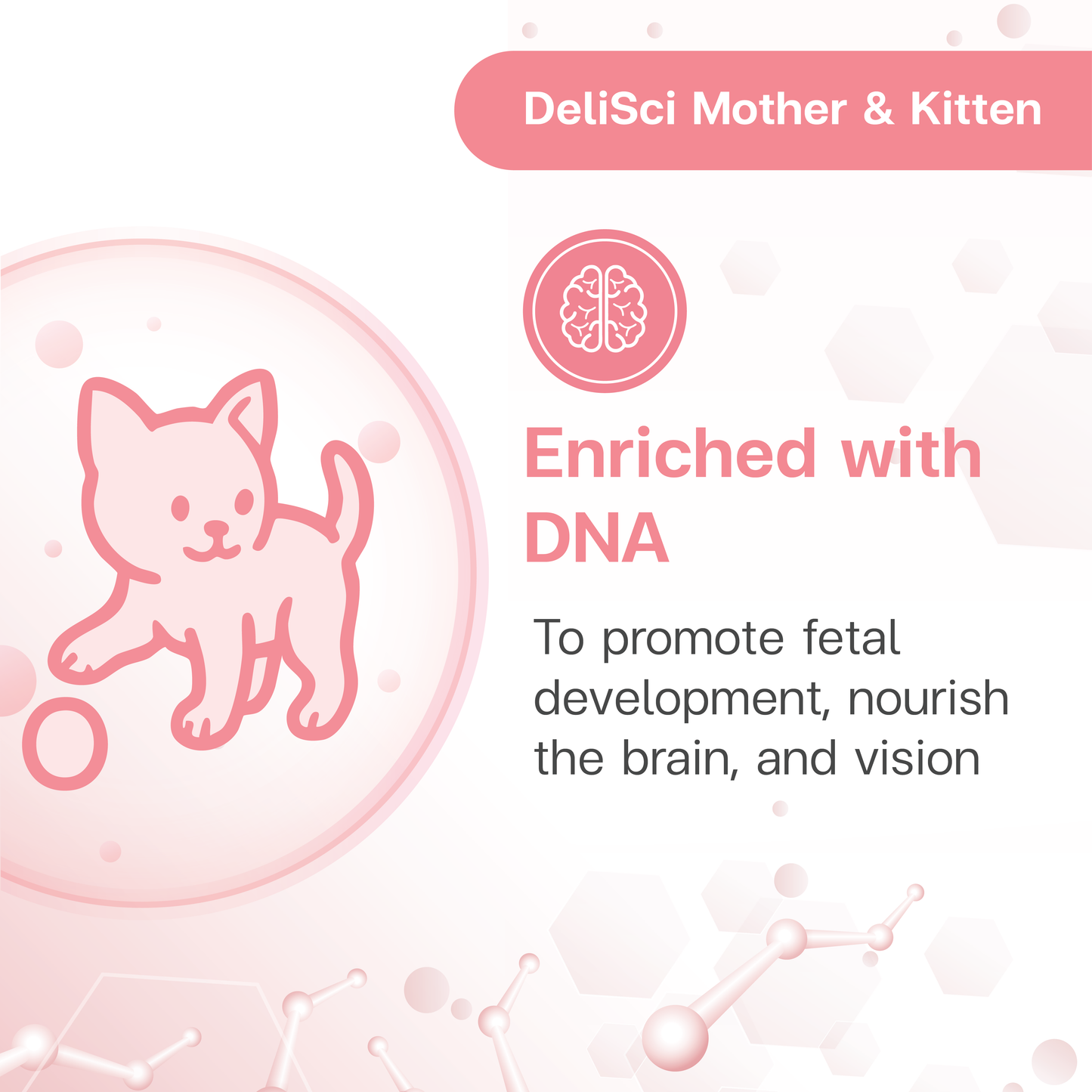 DeliSci Mother&Kitten