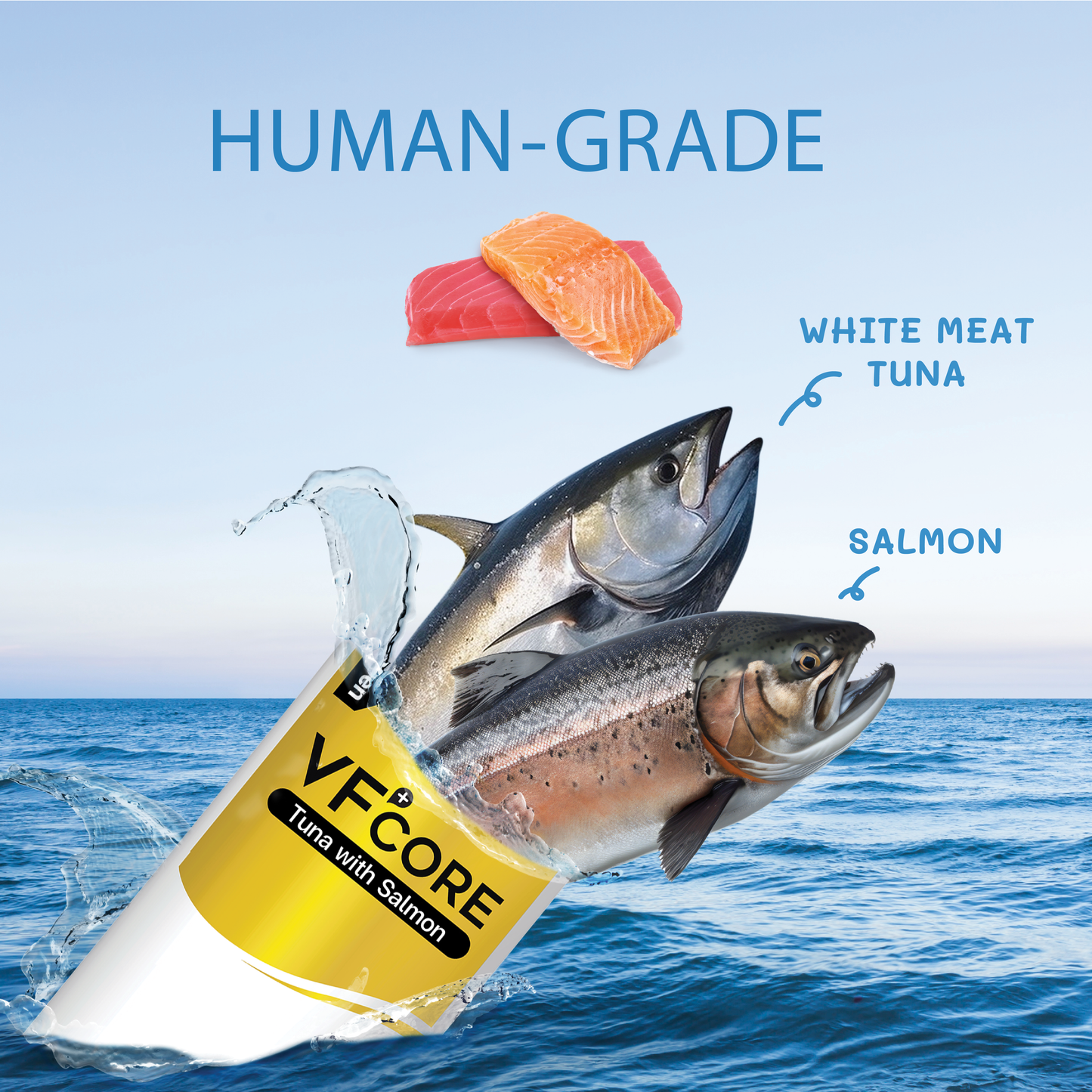 VF⁺Core Feline Vitality