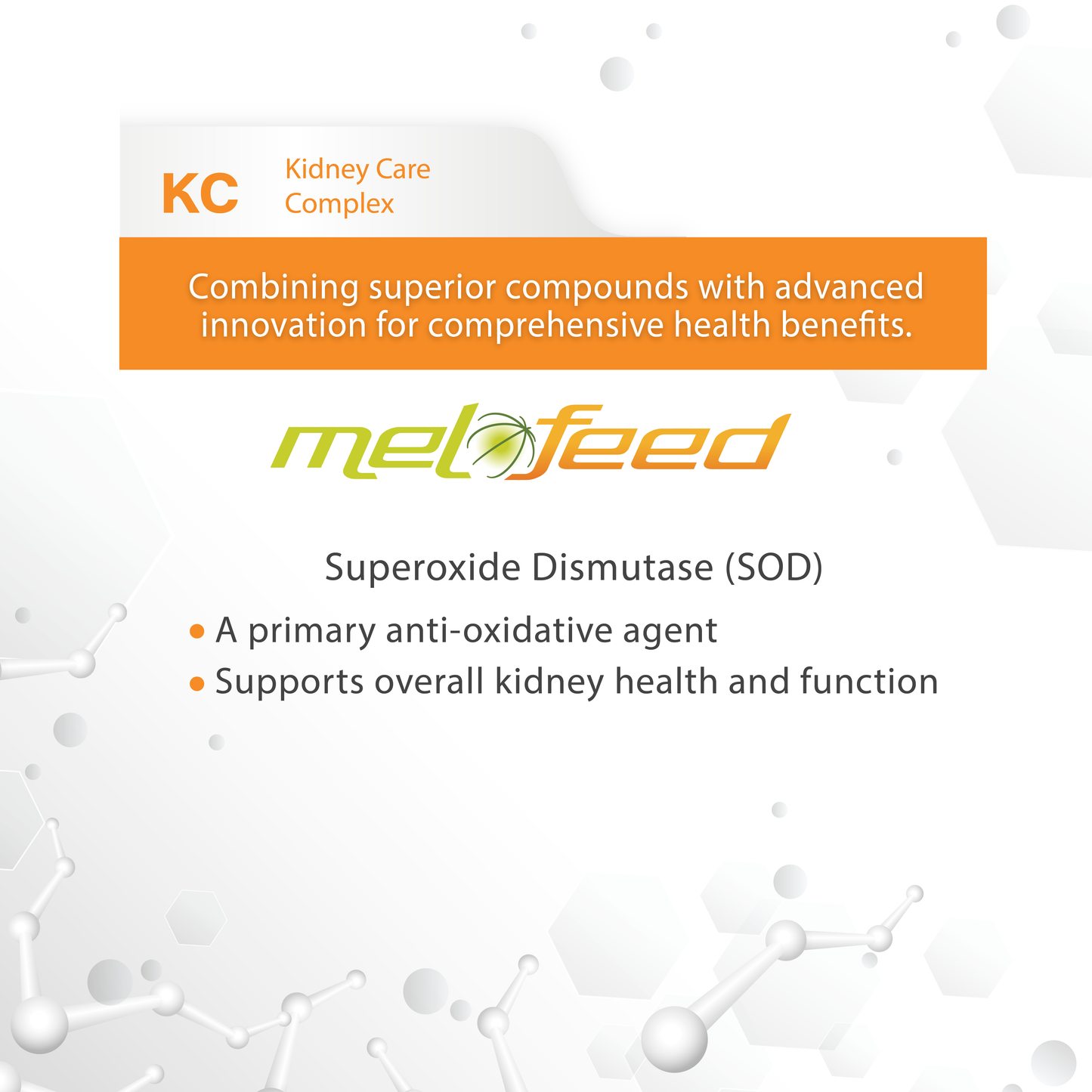 VF⁺Core KC Kidney care