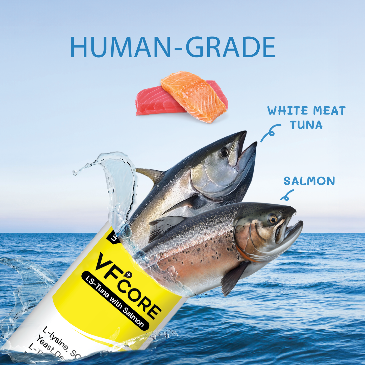 VF⁺Core LS Lysine immune /Cat Flu