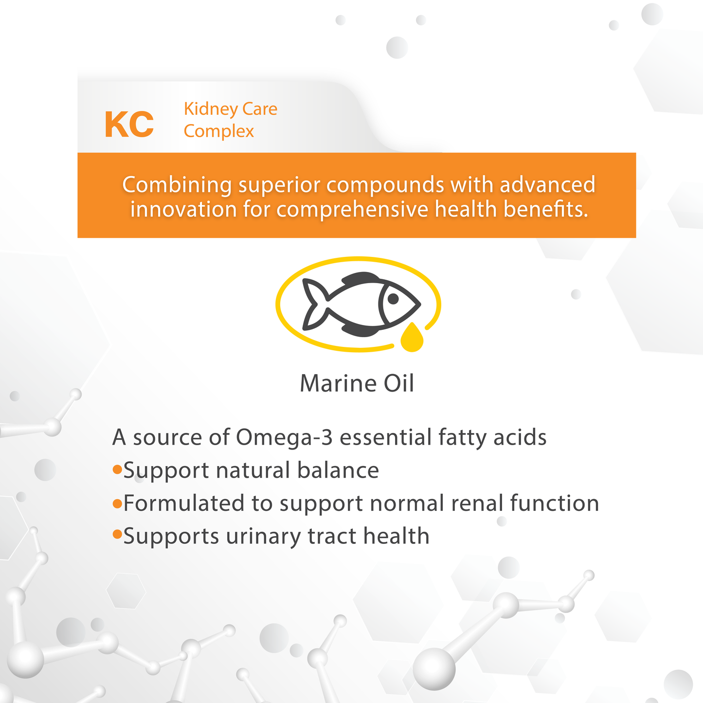 VF⁺Core KC Kidney care