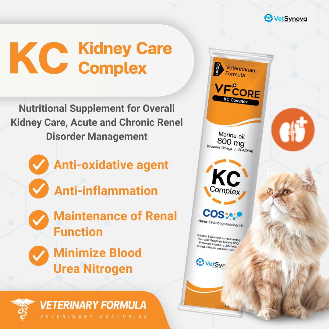 VF⁺Core KC Kidney care 30 Sachets