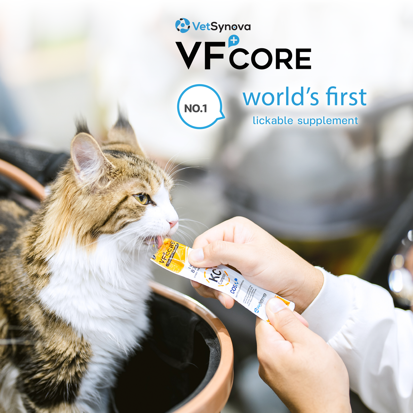 VF⁺Core KC Kidney care
