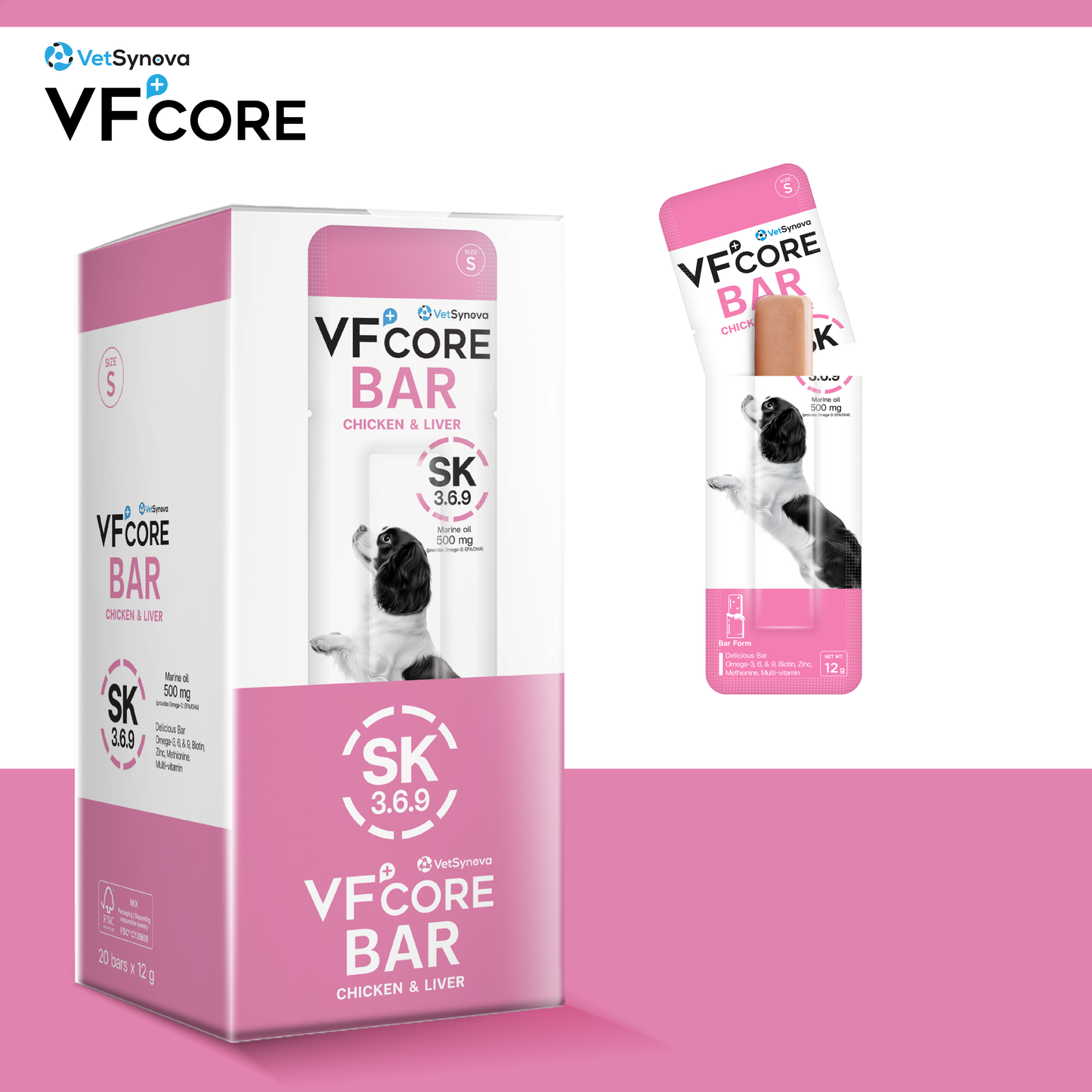VF⁺Core Bar SK 3.6.9 Supplement