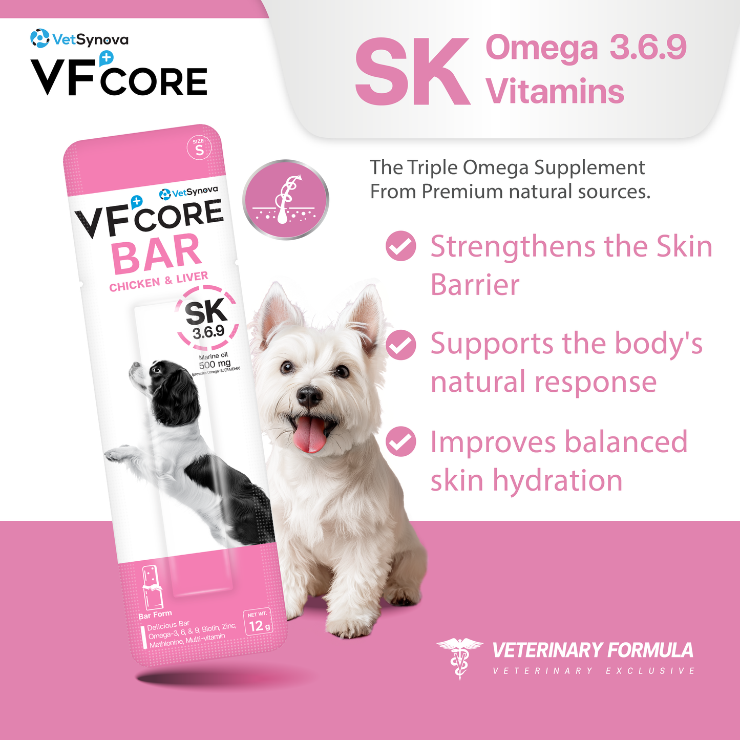 VF⁺Core Bar SK 3.6.9 Supplement