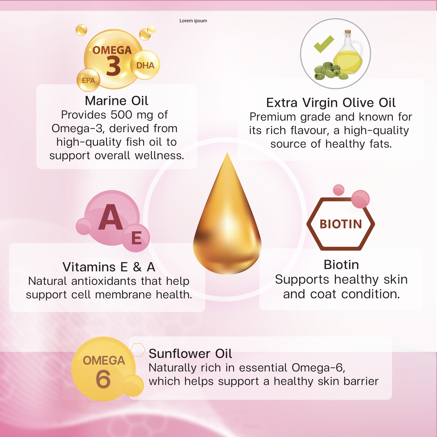 VF⁺Core Bar SK 3.6.9 Supplement